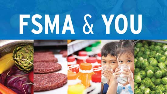 Safe and High-Quality Food and Healthy Children
