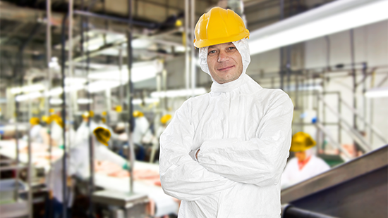 PNG Food processing line worker