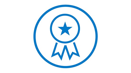 Quality Icon