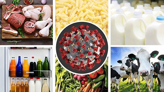 Food and Beverage COVID-19 Ecolab.com Images