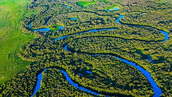 Blue river winds through verdant forest reflecting Ecolab commitment in corporate sustainability report
